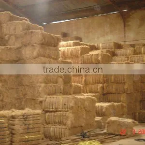 Coco Fiber - Processed thumbnail-1
