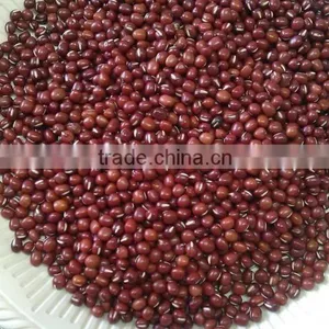 Cheap's Chinese New Crop Red Adzuki Beans thumbnail-4