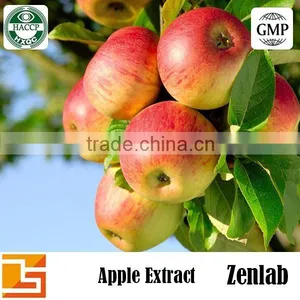 Apple Extract With Apple Phloretin Powder for Skin Whitening thumbnail-4