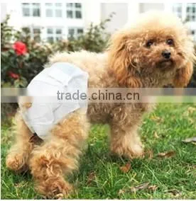 Pet Diaperpet Mat thumbnail-1