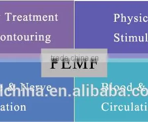 Newest Pemf Body Slim Machine With Radio Frequency thumbnail-3