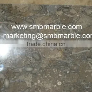 Fossil Limestone Slabs 30X90 at Cheap Rates - Dubai thumbnail-1