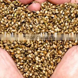 Hot Selling Wholesale Agricultural Hemp Seeds thumbnail-3