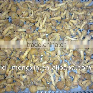 IQF Whole Nameko Mushrooms Grade A thumbnail-1