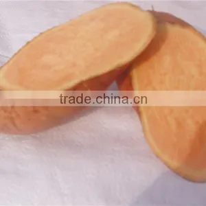 Fresh Sweet Potato/purple Sweet Potato/yellow Sweet Potato thumbnail-6