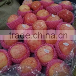 2014 Fresh Red Fuji Apple thumbnail-1