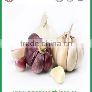 Fresh Jinxiang Garlic Can Use Special Package as Requirement thumbnail-3