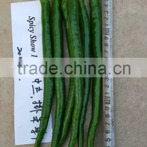 Hybrid F1 Hot Chili Pepper Seeds For Growing-Spicy Show 103 thumbnail-2