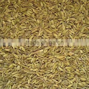 Fennel Seeds thumbnail-2