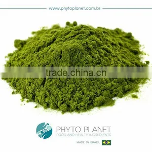 INSTANT SPINACH POWDER thumbnail-1