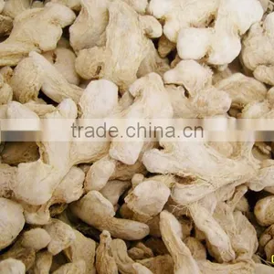High Purity Gan Jiang Extract Powder thumbnail-1