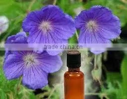 EXPORTER / SUPPLIER / MANUFACTURER OF 100% PURE GERANIUM OIL thumbnail-4