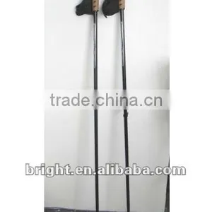 Alpine Ski Pole thumbnail-1
