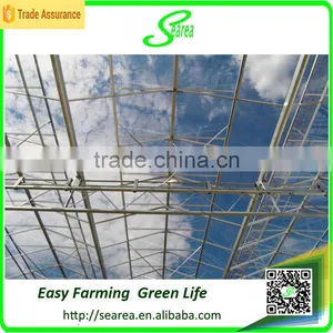 Quickly Delivery Structure Greenhouse for Sale Green House thumbnail-3