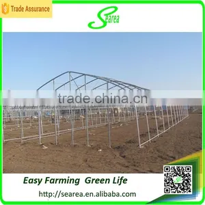 Professional Greenhouse Manufacturer Complete Greenhouse for Sale thumbnail-2