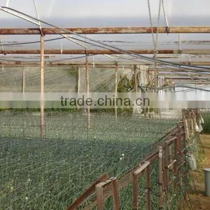 Hot Sell High Strength, Large Size With Anti-UV, Anti Fog, Anti Drip Agricultural Greenhouse Cover thumbnail-4