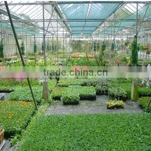 ISO Certificate Polycarbonate Prefabricated Garden Greenhouse for Sale thumbnail-1
