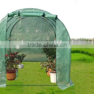Tunnel Greenhouse thumbnail-1