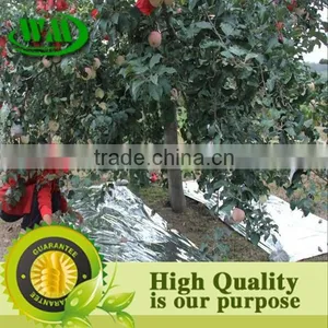 High Quality Agricultural Reflective Silver Mulch Film thumbnail-4