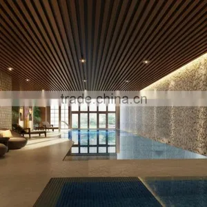BISINI Luxury Rendering for Clubhouse Indoor Swimming Pool thumbnail-1