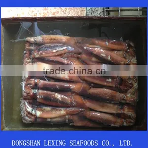 Best Quality Frozen Illex Argentinus Squid thumbnail-1