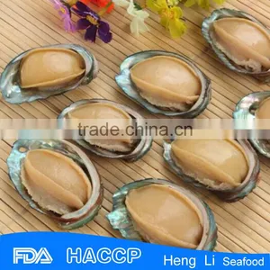 Iqf Frozen Abalone Factory thumbnail-2