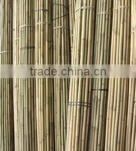 High-quality Bamboo Canes thumbnail-1