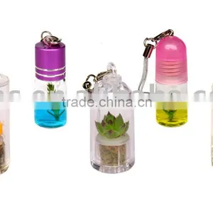 Mini Plant and Baby Plant thumbnail-1