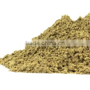 TRIBULUS TERRISTRIS thumbnail-2