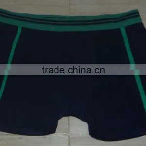 Boxer thumbnail-5
