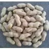 Peanut With Shell thumbnail-2