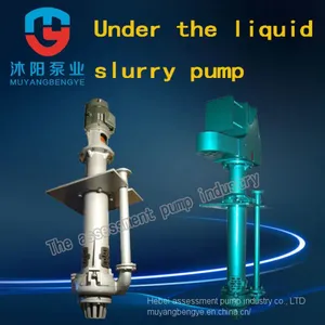 The Assessment of Direct Selling sv - 150 SP (R) Vertical _ _ Under Liquid Centrifugal Slurry Pump thumbnail-1