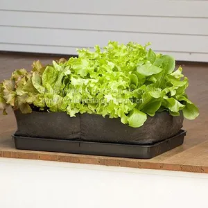 Felt Grow Bag thumbnail-1