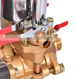 Truthworthy General Gasoline Engine Honda Plunger Pump Cheap and Hot Style thumbnail-2