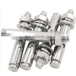 Stainless Steel Anchor Wedge Anchor Bolt and Expansion Anchor Bolt M12 thumbnail-3