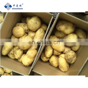 Sinocharm A Grade Fresh Potato thumbnail-1