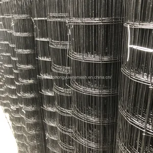 Black Welded Wire Mesh Welded Wire Mesh Chicken Wire Netting Wire Netting Poultry Fence Poultry Mesh Welded Wire Black Wire Black Welded Weld Wire thumbnail-5