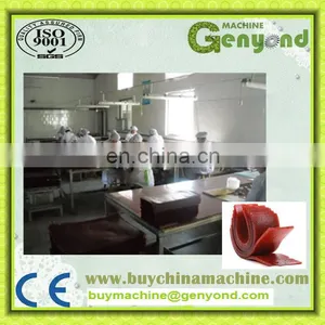 Shanghai Complete Fruit Leather Processing Machines thumbnail-5