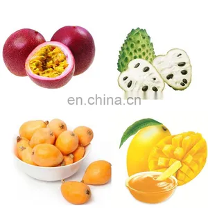 Factory Genyond 20% OFF Fruit Puree Pulping Machine / Juice Screw Pressing Extracting Equipment Extractor Machine thumbnail-3