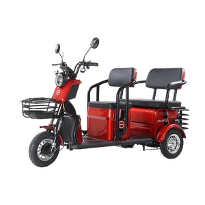 EEC Trike 3 Wheel Electric Tricycle 500W 1000W Tricycle for Passenger thumbnail-1