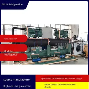 High-temperature Cold Storage by Borun Refrigeration Uses Danfoss Compressor Units, 3 Hp, 2yd - 3.2 Style, Elegant. 3 hp Cold Storage Unit With Elegant Style thumbnail-3