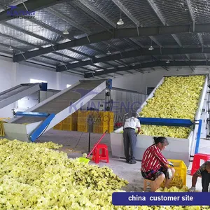 Best Automatic Food Dehydrator Moringa Leaves Kale Cabbage Dryer Vegetable Cleaning and Drying Production Line Equipment EPC thumbnail-4