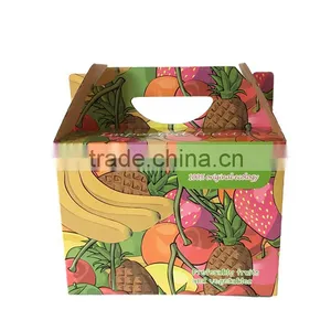 Customized Carton Box;fruit Carton Box Apples;carton Packing Quality Choice thumbnail-1