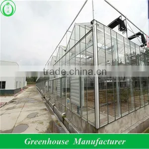 Galvanized Steel Pipe Commercial Greenhouses thumbnail-1