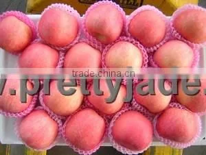 Fresh Fuji Apples thumbnail-1