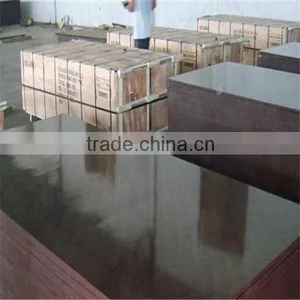 Construction Usage Poplar/Hardwood/Combi Core 18mm Film Faced Plywood thumbnail-1