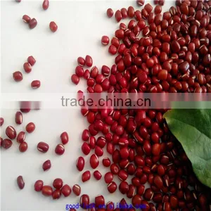 High Quality New Crop Azuki Beans thumbnail-1