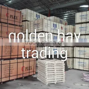 Marine Plywood/shuttering Plywood/Film Faced Plywood DANUBE CNBM CPLEX thumbnail-2