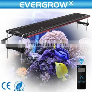 48'' Marine Aquarium Led Lighting China Sunrise and Sunset thumbnail-5