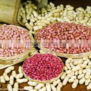 High Quality Peanut Grader/peanut Calibrator/peanut Calibrating Machine thumbnail-2